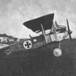 1916 - Albatros C.III