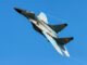 Mikoyan MiG-29 (Fulcrum)