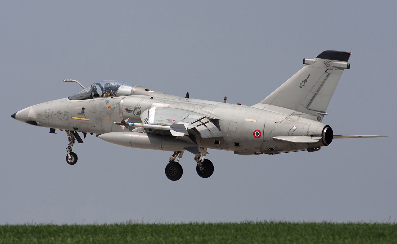 AMX International AMX - War Wings Daily