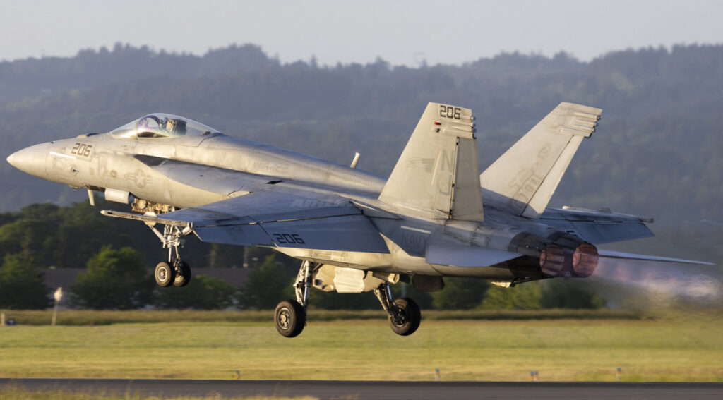 Panavia Tornado ADV vs Boeing F/A-18 Hornet