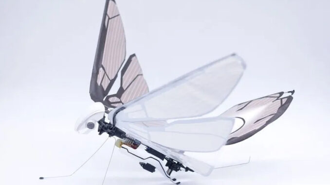 Biomimetic drones: technology and applications