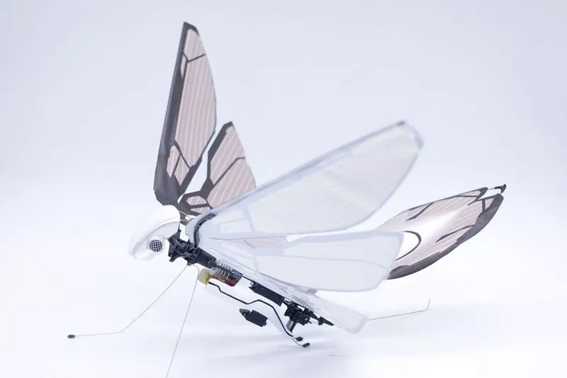 Biomimetic drones: technology and applications