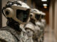 The Pentagon wants rules on the use of military AI