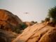 Malian drone shot down by Algeria