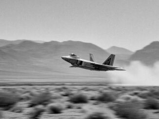 Diplomacy and lobbying in fighter jet procurement