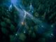 LiDAR and autonomous drones: the revolution in aerial laser guidance