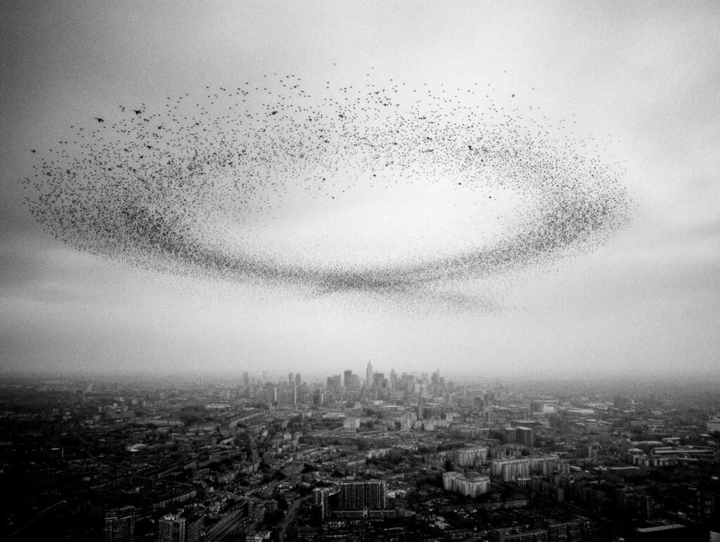 Drone swarms: the next revolution in warfare and industry