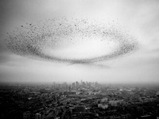 Drone swarms: the next revolution in warfare and industry