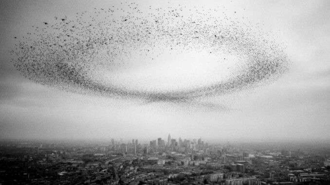 essaim-de-drones Drone swarms: the next revolution in warfare and industry