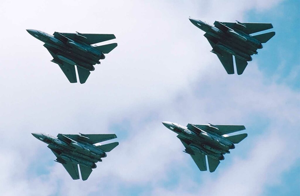 Variants F-14 Tomcat