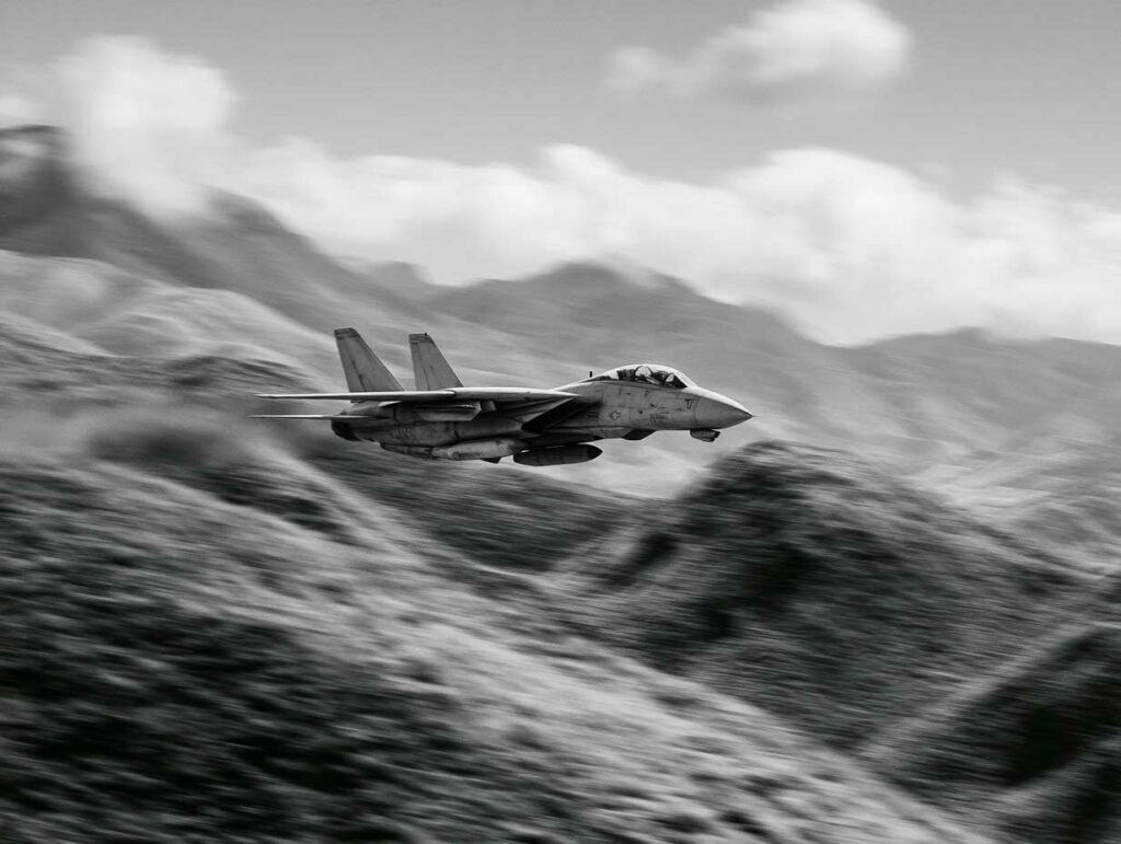 F-14 Tomcat