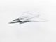 ACF futur combat aircraft France