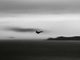 France fighter jet fleet